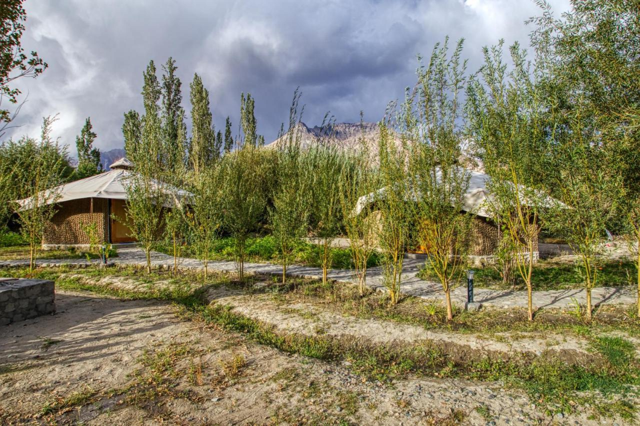 Chalet Seabuckthorn - Hunder Hundar Kültér fotó